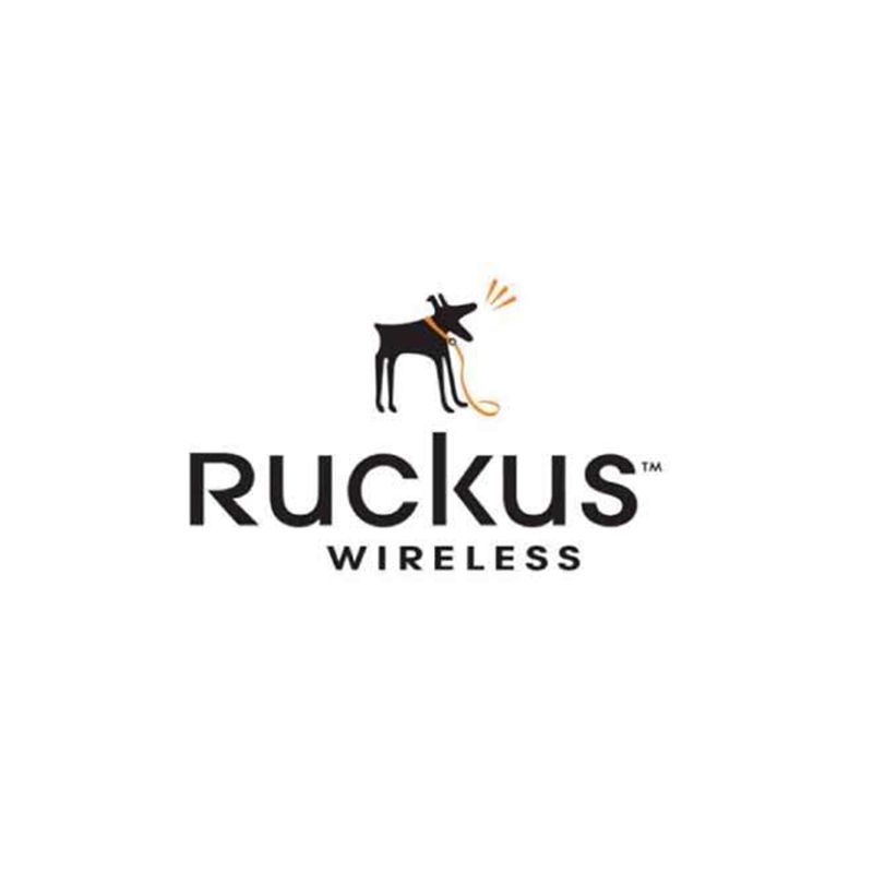 L09-0001-SG00 Ruckus 1 AP License for SmartZone 100 to Manage APs
