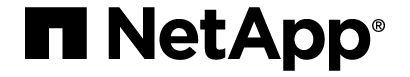 NetApp logo